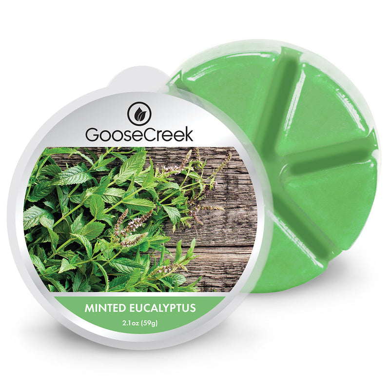 Minted Eucalyptus Wax Melt Select 6-0548